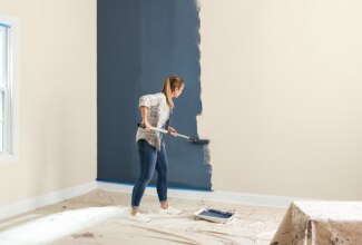 Paint and Primer in One