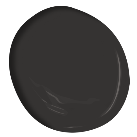 Black Beauty (2128-10)
